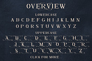 Dalmanti - Capitalized Typeface, a Serif Font by Analogous (Thumbnail 6 of 8)