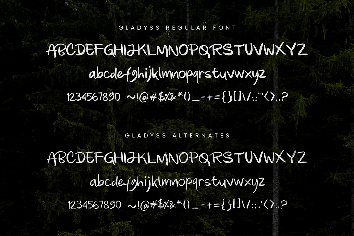 Gladyss Brushed Handwritten Font, a Handwritten Font by peterdraw (Photo 7 of 8)