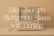 Aoora - Modern Luxury Serif, a Serif Font by Qweera Studio (Thumbnail 4 of 12)