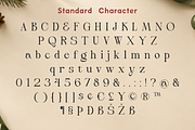Christmas Font - Welcome Christmas, a Serif Font by Mozatype (Thumbnail 10 of 10)