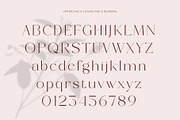 Bromise - Luxury Serif Typeface, a Serif Font by Muflieart (Thumbnail 9 of 10)