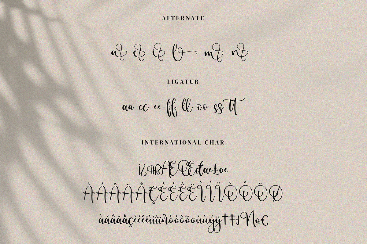 Sutena, a Script Font by Integritype Studio (Photo 10 of 12)