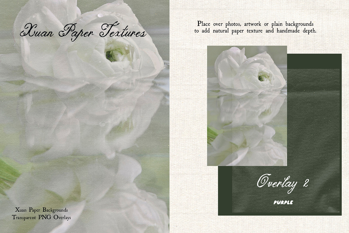 Xuan Paper Textures & PNG Overlays, a Texture Graphic by Purple (Photo 3 of 19)