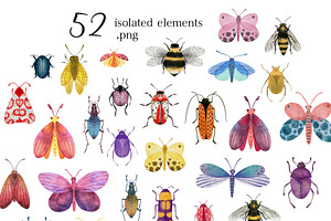 INSECTOPIA Illustrations & Patterns