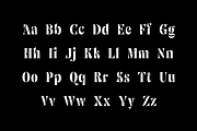 Single Malt Font, a Serif Font by Yury Veselov (Thumbnail 2 of 9)