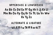 Xerym | Handwriting Display, a Sans Serif Font by twinstd (Thumbnail 8 of 11)