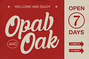 Bernfuls Script Font, a Font by Typetemp Studio (Thumbnail 5 of 9)