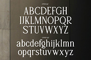 Adigul | Modern Serif, a Serif Font by Denustudios (Thumbnail 10 of 13)