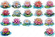 Water Lily Clipart, an Object Graphic by DreamerStarCo (Thumbnail 2 of 6)