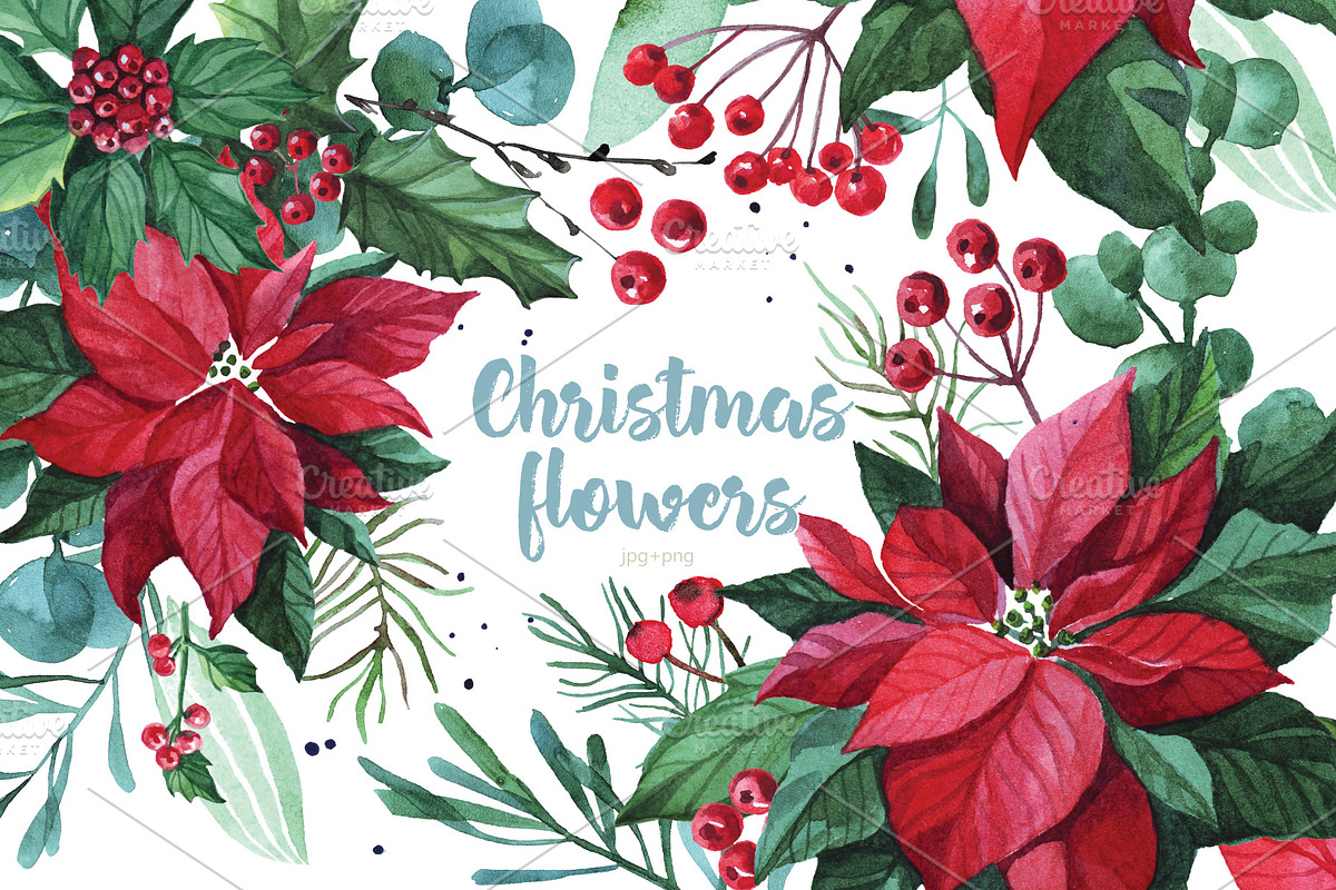 Watercolor Christmas flowers, a Decorative Illustration by YuliaBiser (Photo 1 of 10)