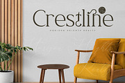 Naftegfo A New Modern Serif, a Serif Font by Storytype Studio (Thumbnail 2 of 15)