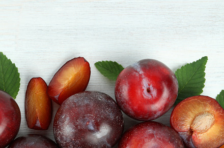 Flat lay composition with plums on white wooden background, a Food & Drink Photo by AtlasStudio PRO