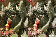 Morocco Lightroom Mobile Presets, an Action Add-On by in between details (Thumbnail 17 of 22)