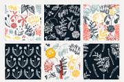 Adaptogenic & Medicinal Plants Set, a Healthcare Illustration by Yevheniia (Thumbnail 8 of 9)
