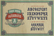 Three Horse Typeface, a Serif Font by alit design (Thumbnail 6 of 20)