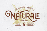 Mirandah | Monoline Font Family, a Sans Serif Font by Arterfak Project (Thumbnail 7 of 11)
