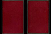 Antique Book Cover Textures, a Texture Graphic by Blue Line Design (Thumbnail 9 of 25)
