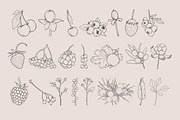 Berries Procreate Stamp Brushes, a Brush Add-On by Little Nordic Atelier (Thumbnail 2 of 4)