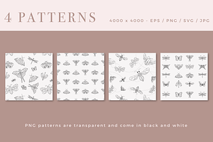 Clipart & Patterns: Minimal Insects