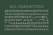 CS Malion – Classic Font, a Serif Font by Craft Supply Co. (Thumbnail 8 of 8)