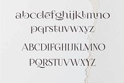Astoria, a Serif Font by EgoistFonts (Thumbnail 8 of 9)