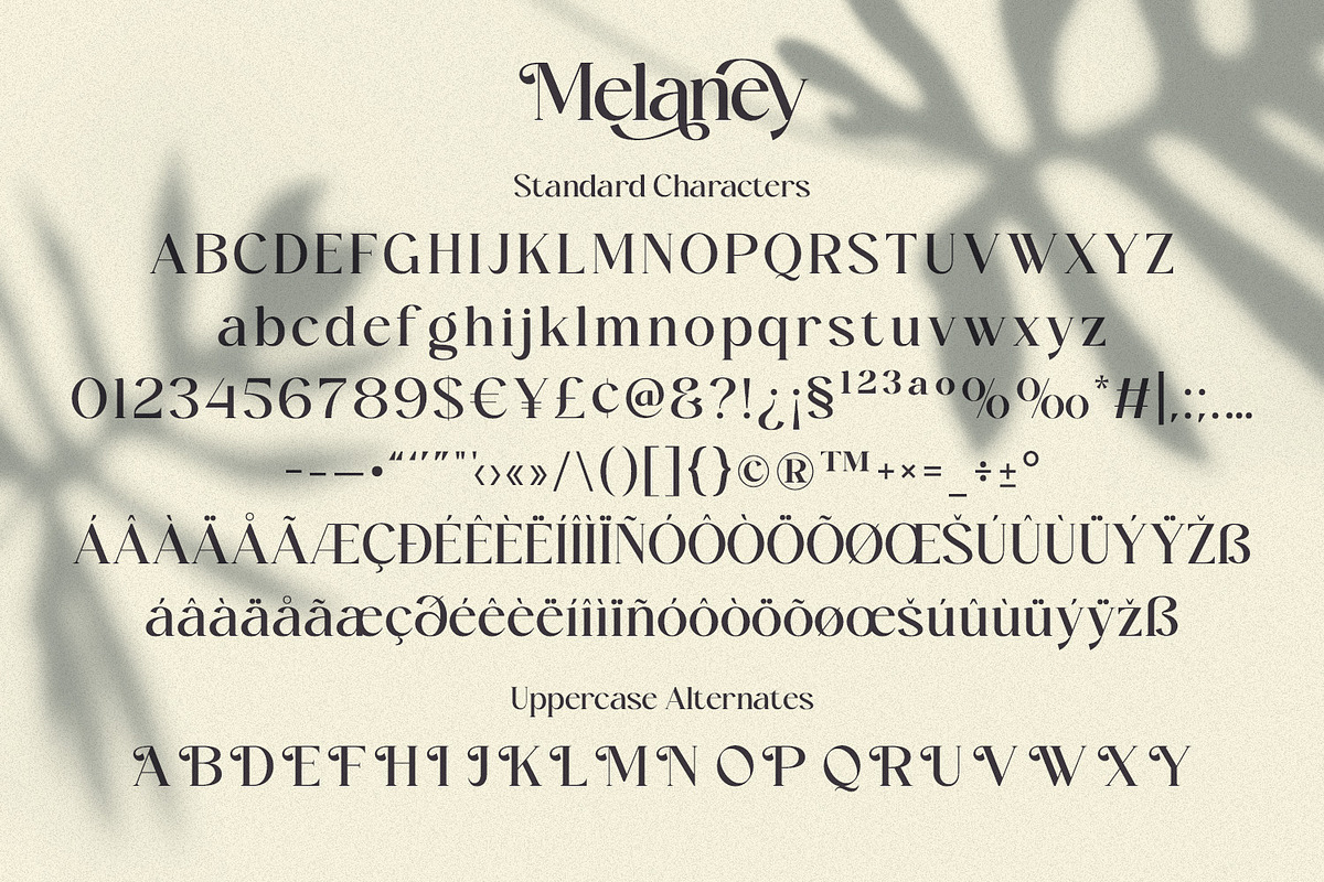 Melaney - Aesthetic Branding Serif, a Serif Font by Variatype (Photo 9 of 10)