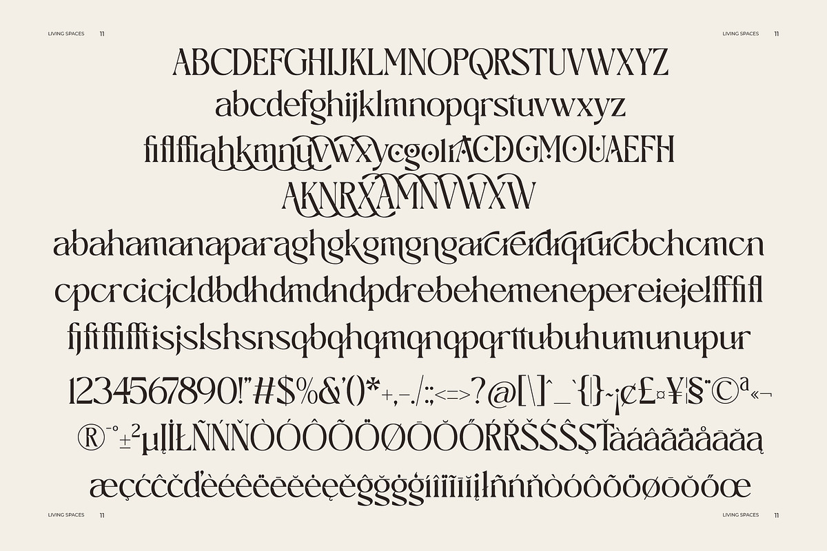 Cafespro Weekend Elegant Serif, a Serif Font by AmorfaType (Photo 8 of 8)