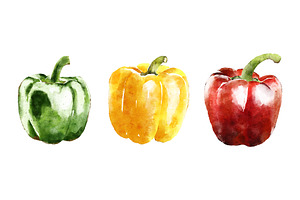 Beautiful Watercolor Vegetables Set