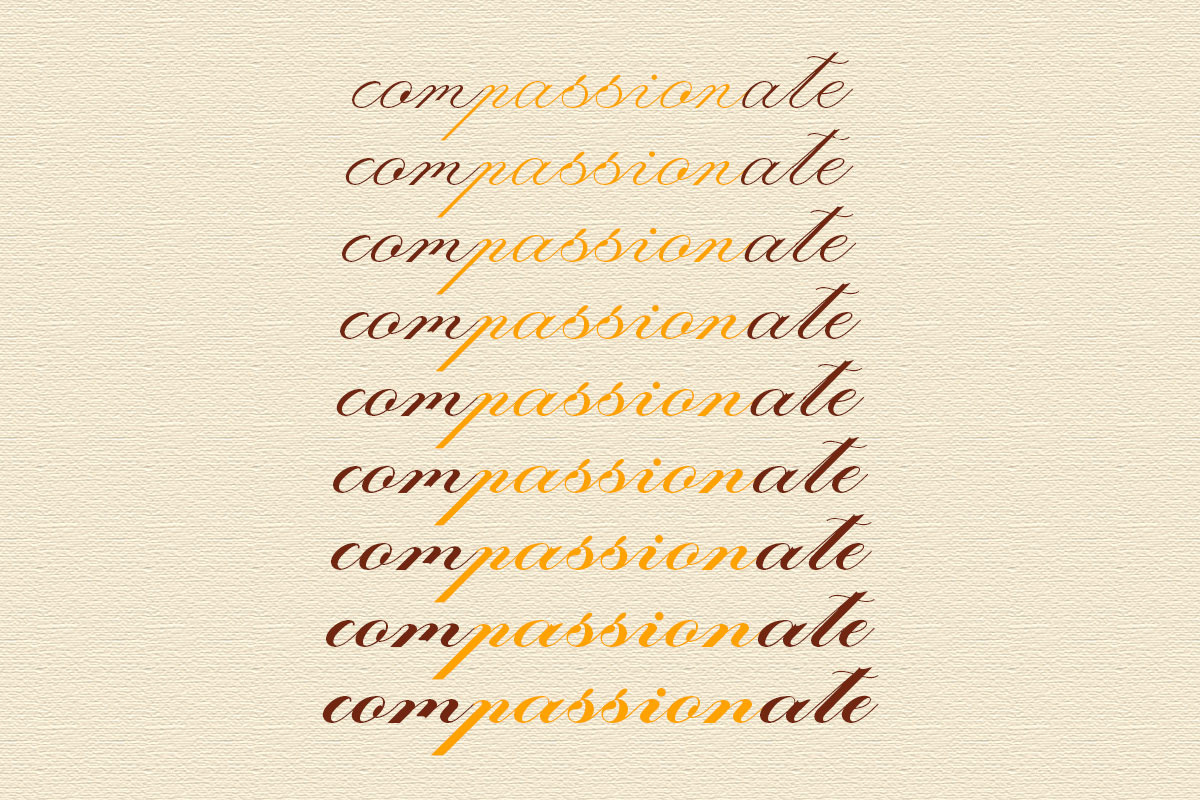 Laurente - Family Script Pro, a Script Font by Slex Studio (Photo 12 of 13)