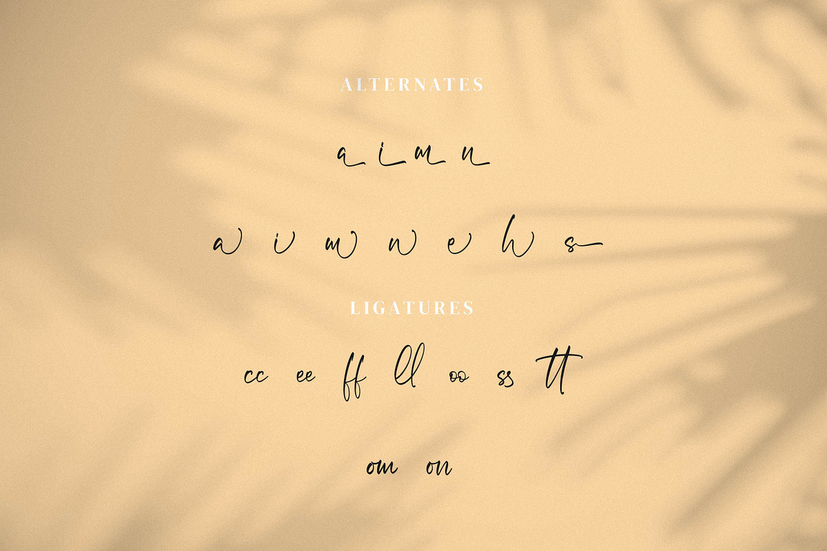 Micqallena, a Script Font by Integritype Studio (Photo 11 of 15)