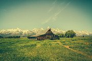 68 American Outdoor Photos, a Templates & Theme by Moth Owl Photography (Thumbnail 4 of 5)