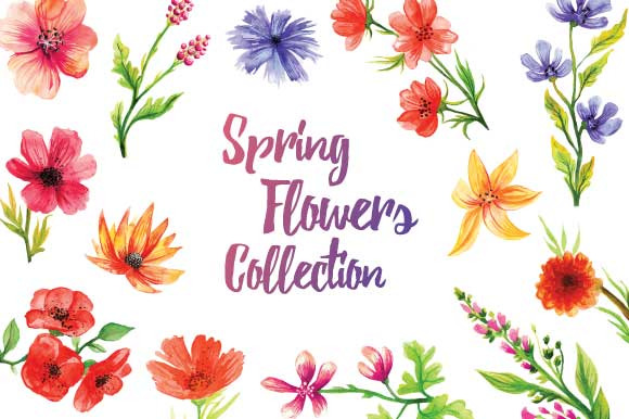 Spring Flowers Collection, an Object Graphic by TatianaCociorva
