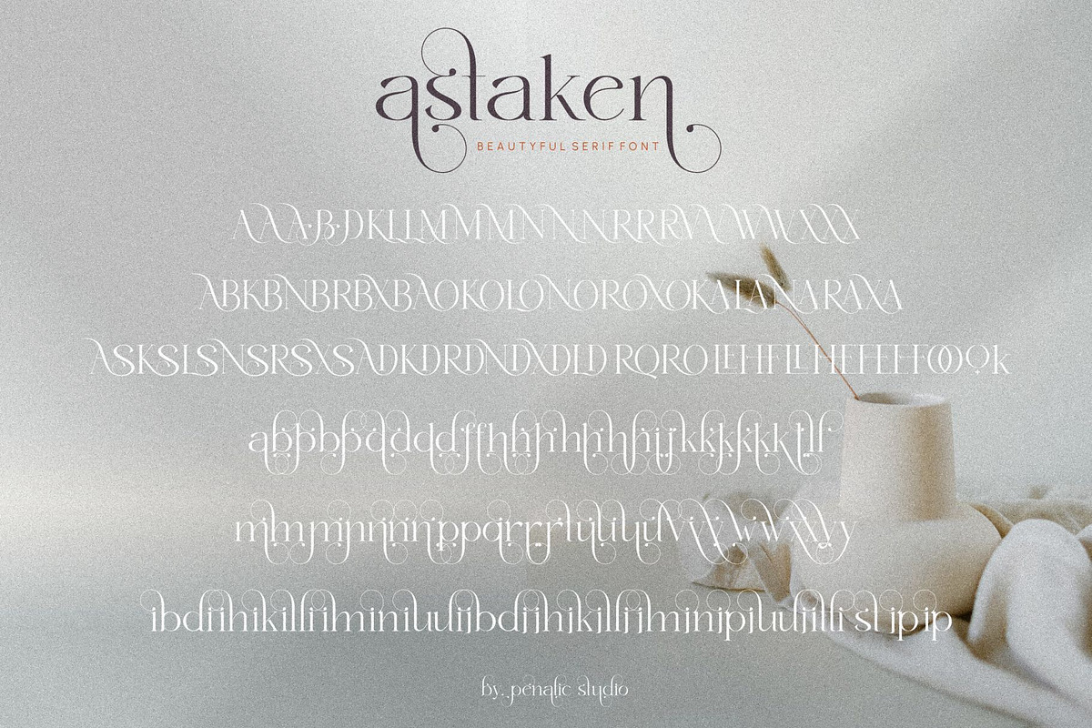 Astaken _ Beautyful serif font, a Serif Font by Penatic Studio (Photo 10 of 11)