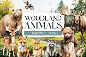 Watercolor Woodland Animals Clipart