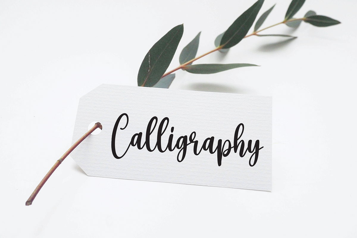 Volley | Script Font, a Script Font by Scratchones (Photo 4 of 8)