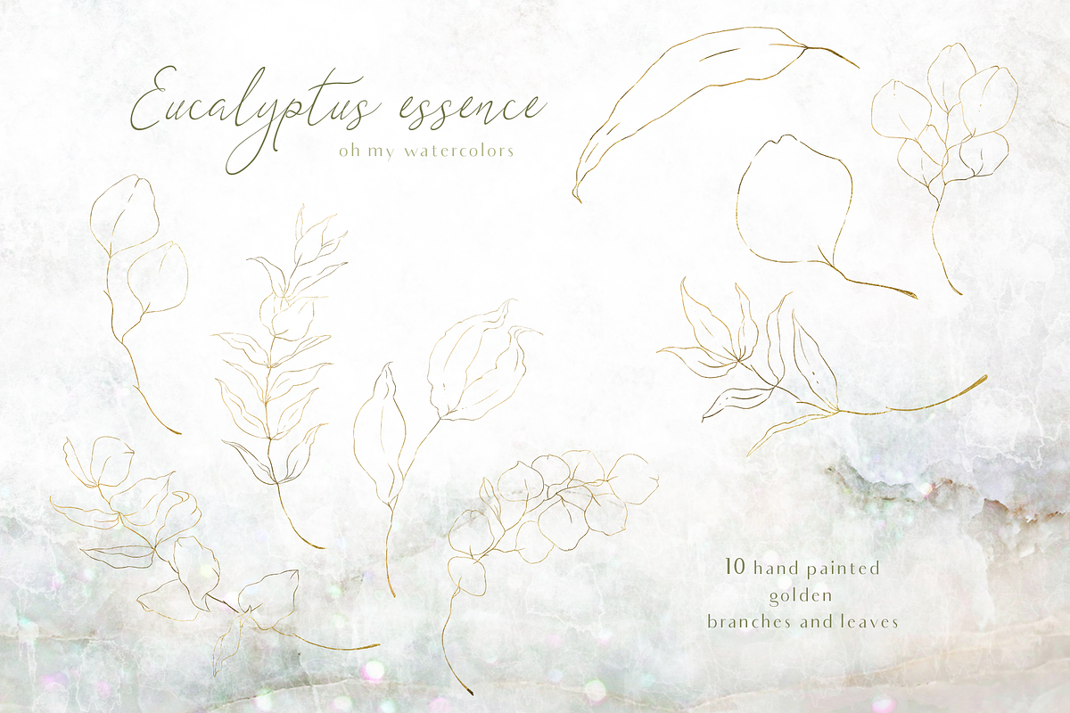 Eucalyptus essence watercolor set, an Illustration by Tatiana Troian (Photo 3 of 4)