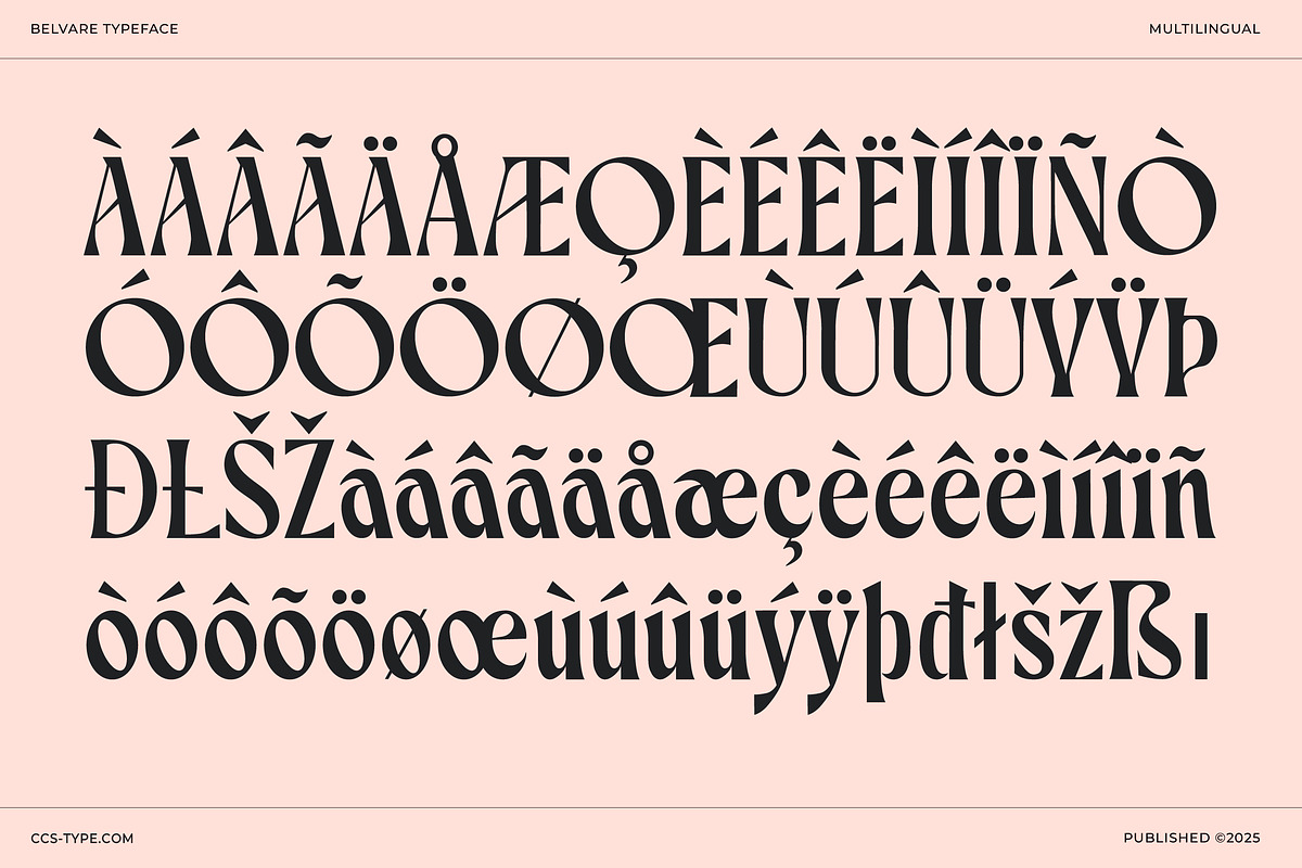 Belvare - Retro Aesthetic Serif, a Serif Font by CCS Type (Photo 21 of 22)