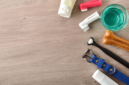 Products for cleaning canine teeth on wooden table top, an Animal Photo by Davizro's Market