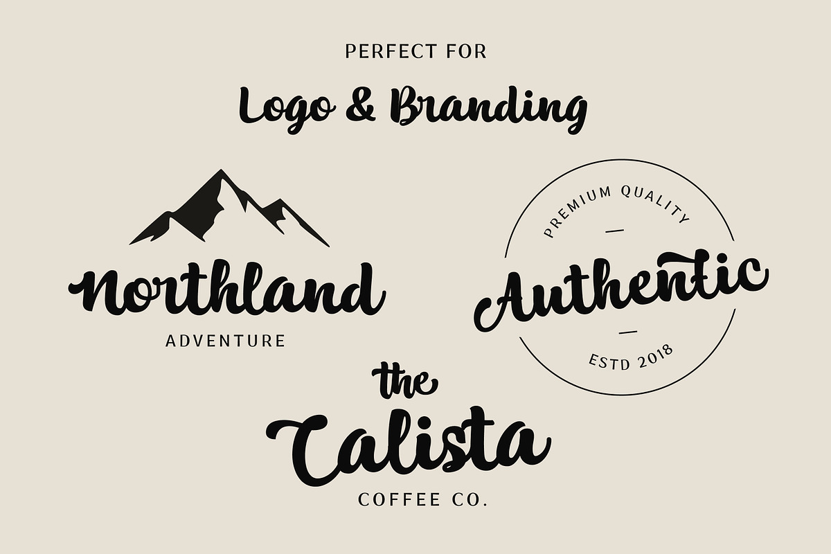 Alaska, a Script Font by ShowUp! Studio (Photo 4 of 11)