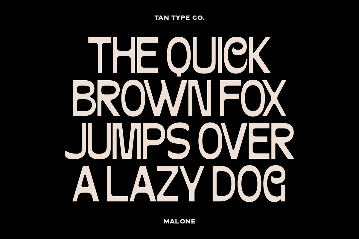TAN-MALONE, a Sans Serif Font by TanType (Photo 9 of 11)