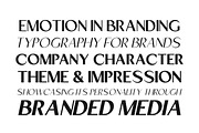 Mizhon Sans| 12 Fonts, a Sans Serif Font by Skinny Type (Thumbnail 5 of 8)