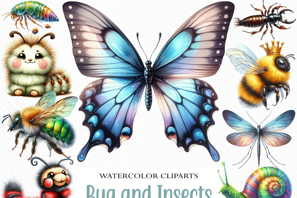 Bug and Insects Clipart, an Illustration by Craft Nest (Photo 1 of 6)
