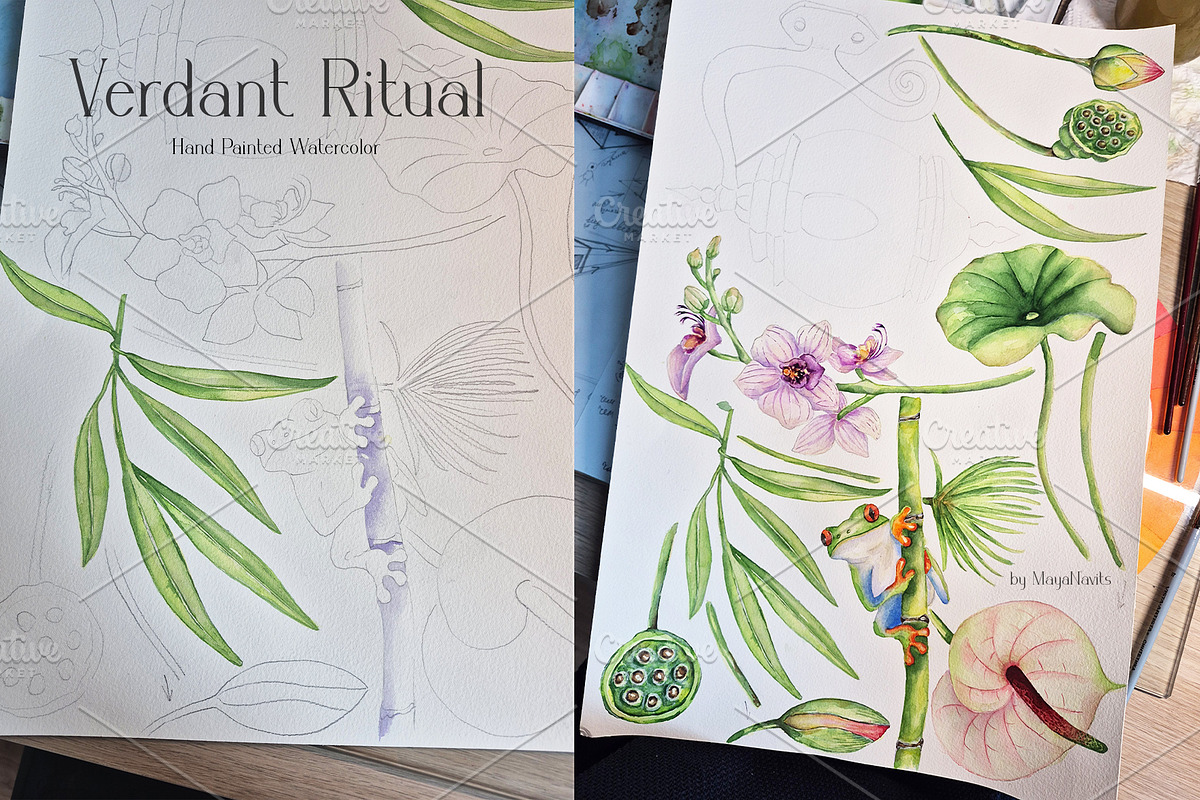 Watercolor Verdant Ritual Collection, a Decorative Illustration by MayaNavits (Photo 11 of 13)