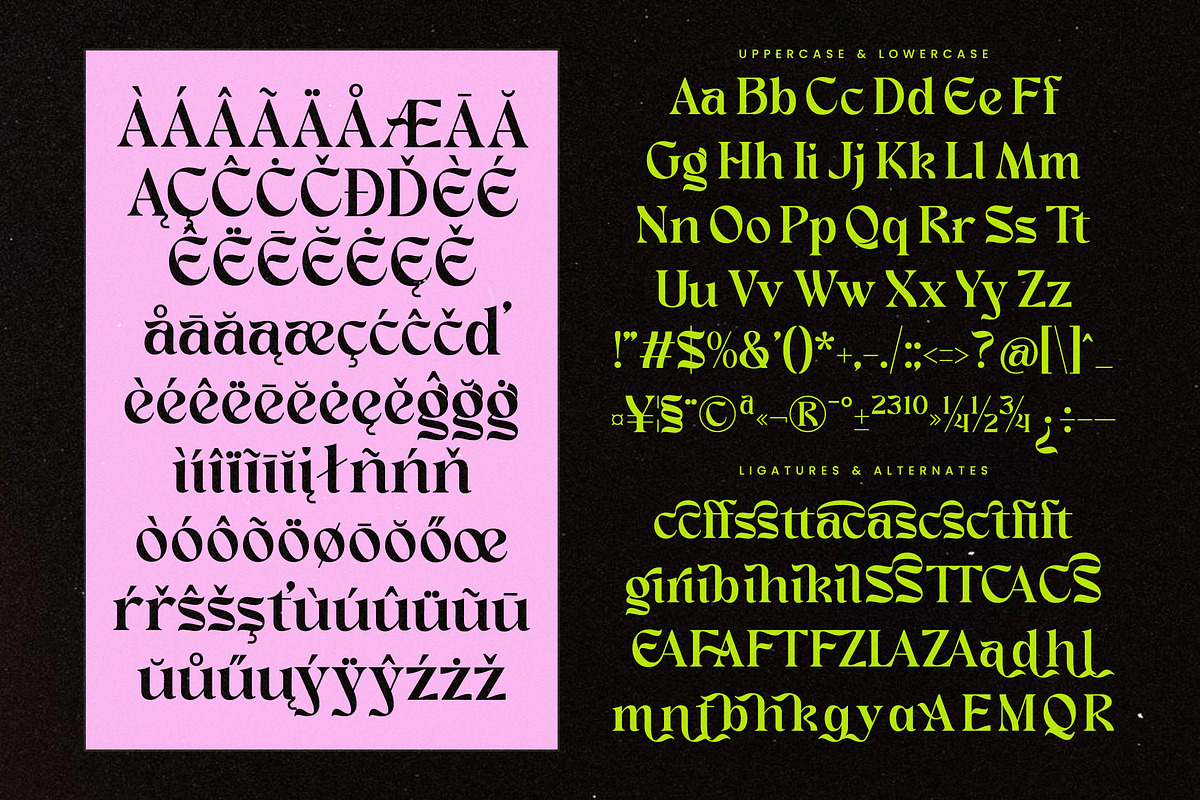 Enligas Modern Serif Display Font, a Serif Font by timelesstype.co (Photo 15 of 15)
