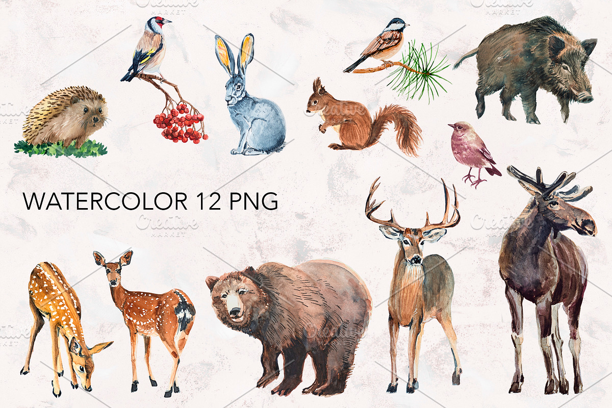 Forest Animals watercolor., an Animal Illustration by lilisavelieva (Photo 2 of 6)