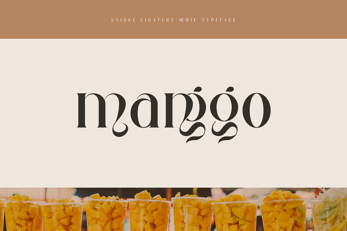 Jangor ligature serif typeface, a Serif Font by yaqublekker (Photo 4 of 10)