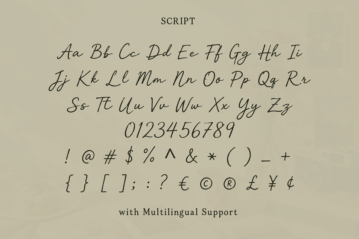 Tjiwidej Heritage – Serif & Script, a Script Font by Creacy Studio (Photo 8 of 9)