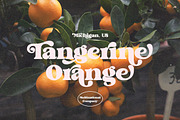 Brighton Vintage - Modern Serif Font, a Serif Font by dealitastudio (Thumbnail 5 of 10)