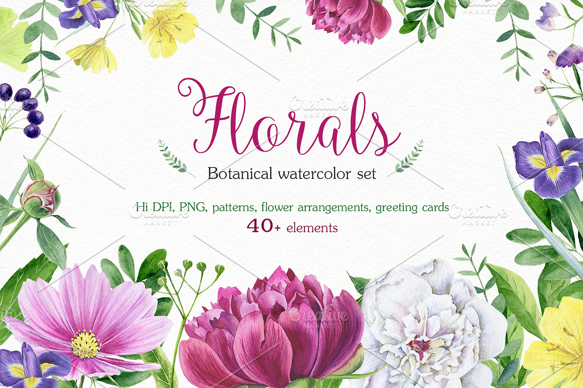 Florals watercolor set, an Illustration by Elegantia (Photo 1 of 11)