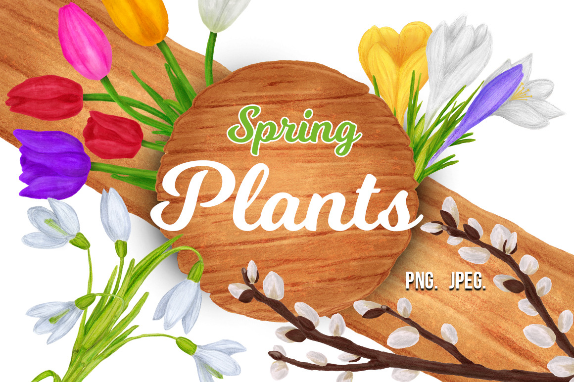Spring plants, an Object Graphic by CGterminal